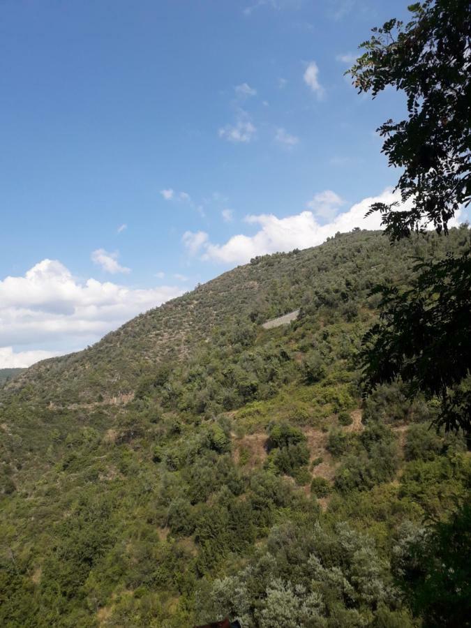 Villa Moki Apricale Extérieur photo